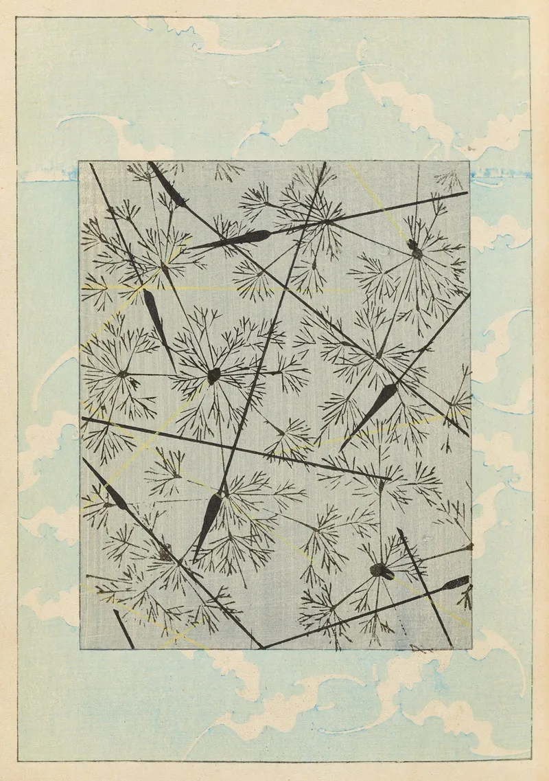 Shin Bijutsukai Pl 325