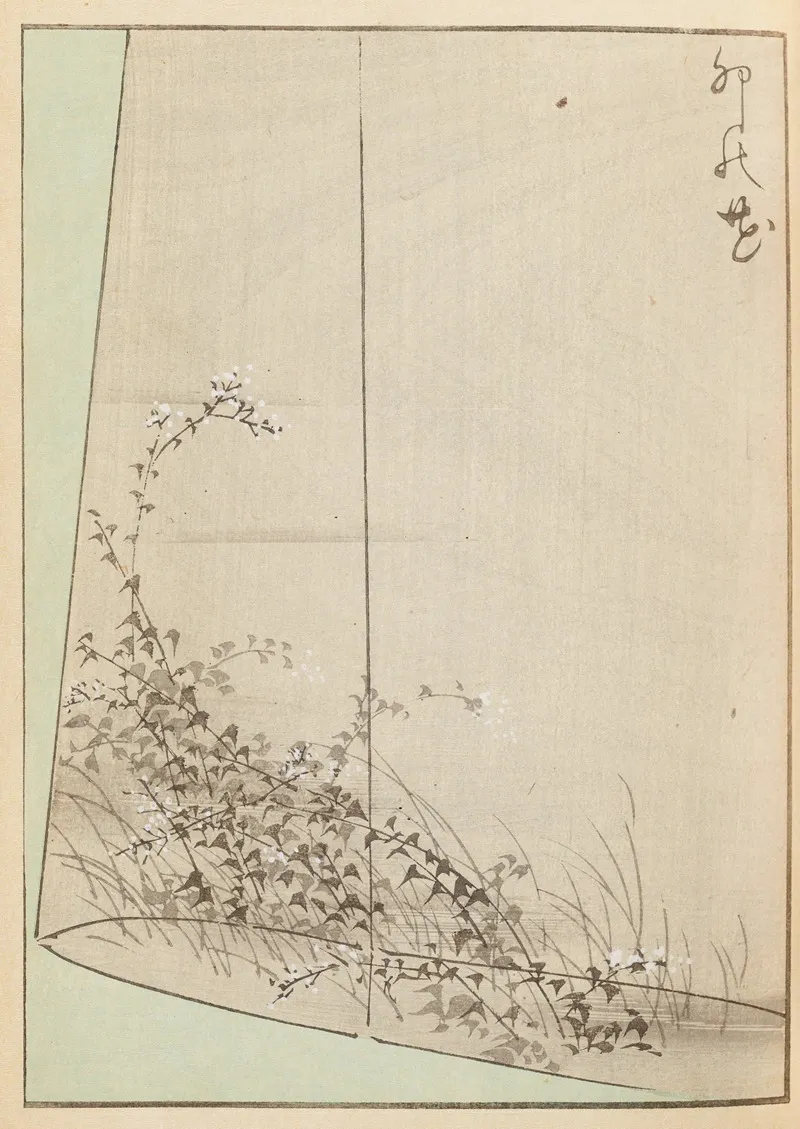 Shin Bijutsukai Pl 341