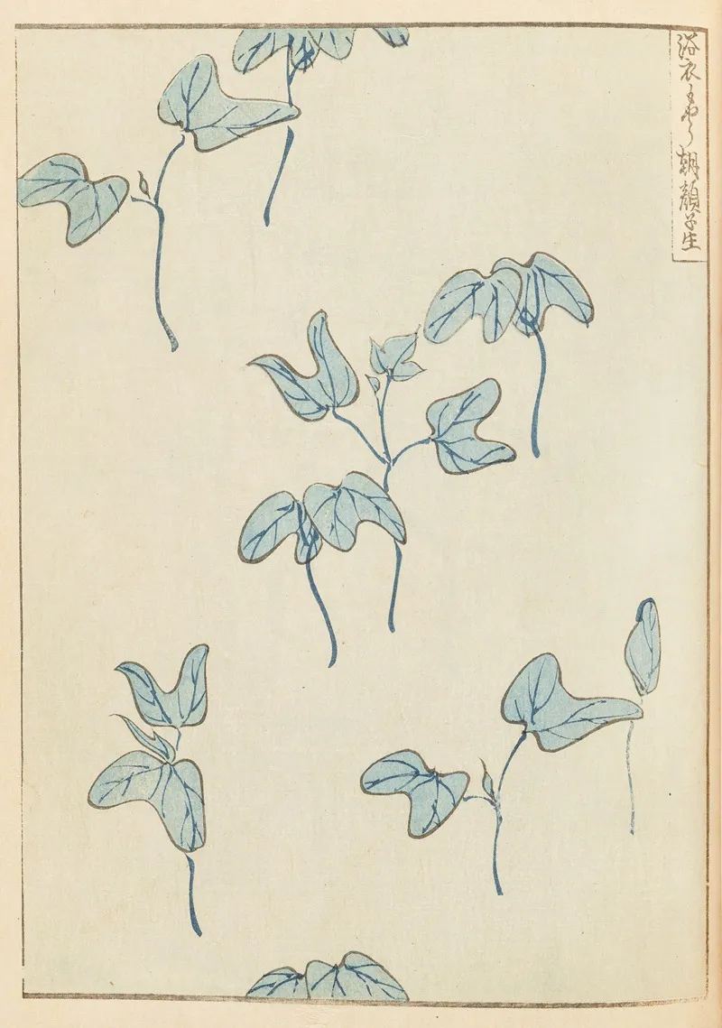 Shin Bijutsukai Pl 437