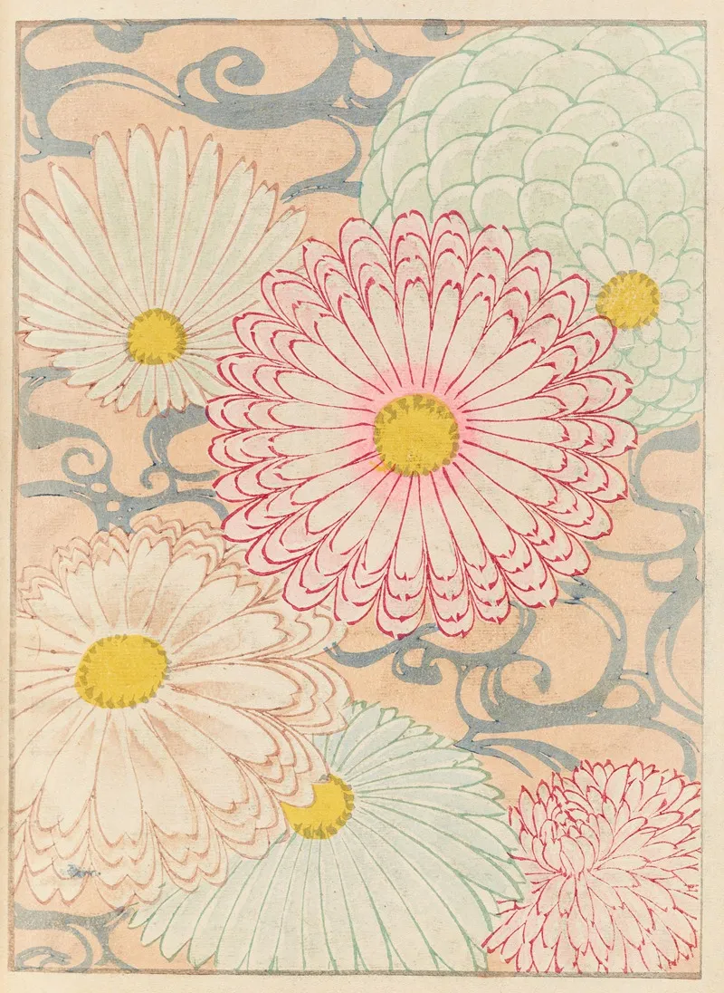 Shin Bijutsukai Pl 504