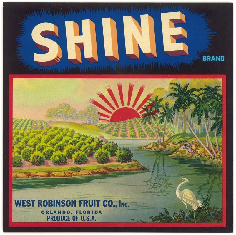 Shine Brand Fruit Label 2