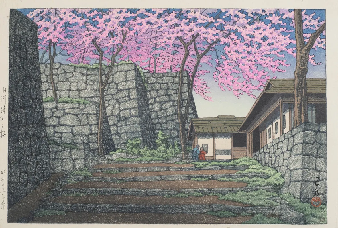 Shirakawajo Ato No Sakura Cherry Blossoms At The Ruins Of Shirakawa Castle
