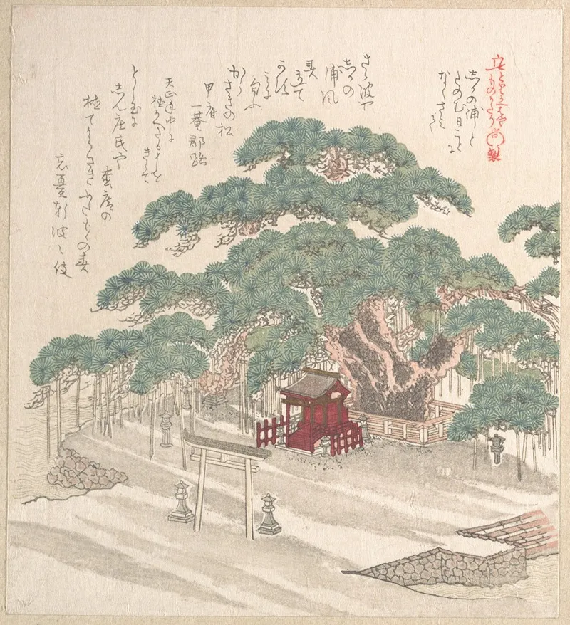 Shrine Under A Big Pine Tree