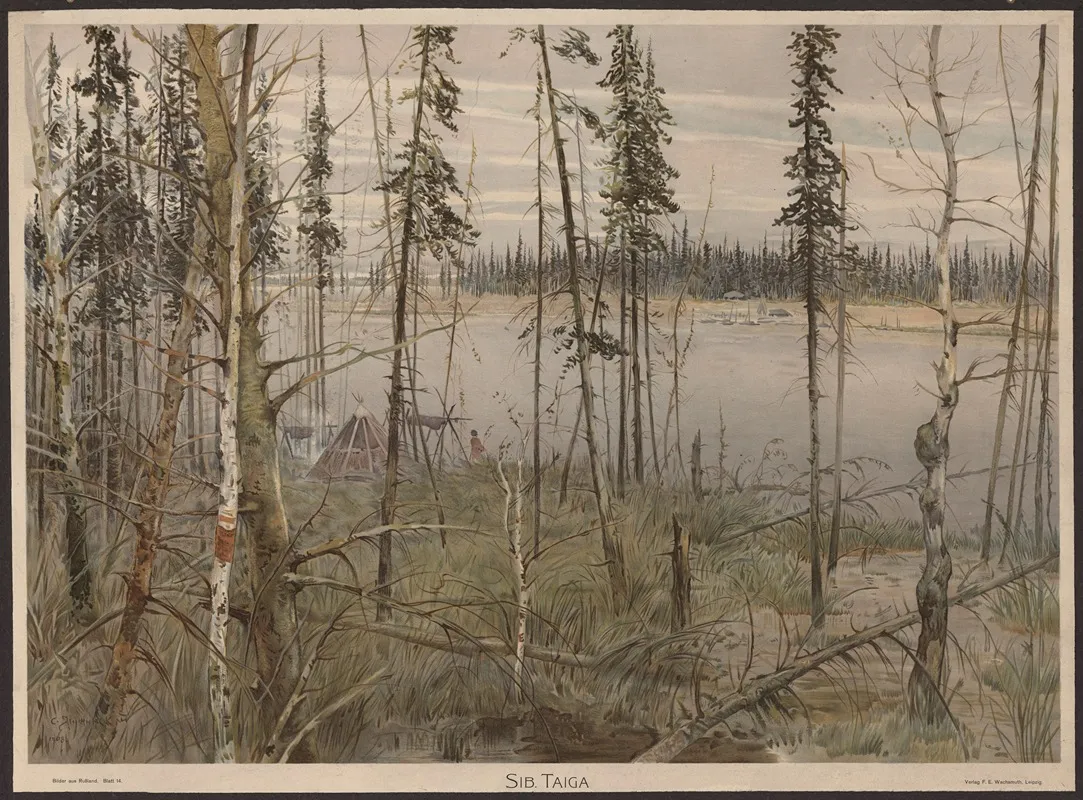 Sib Taiga