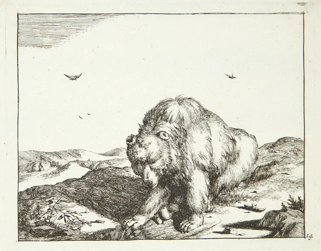 Siddende Bjorn Set Forfra 2 by Marcus de Bye - Canvas Print