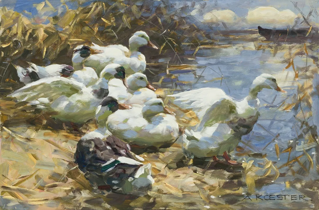 Sieben Enten Am Ufer by Alexander Koester - Canvas Print