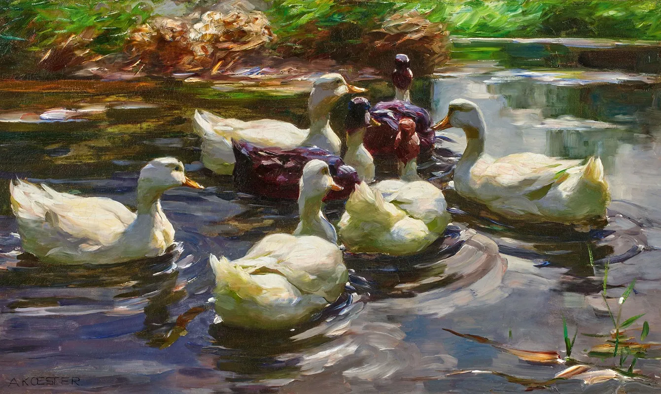 Sieben Enten In Einem Teich