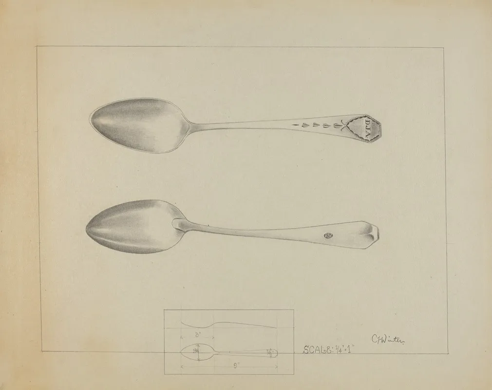 Silver Spoon 19 by Charlotte Winter - Canvas Print