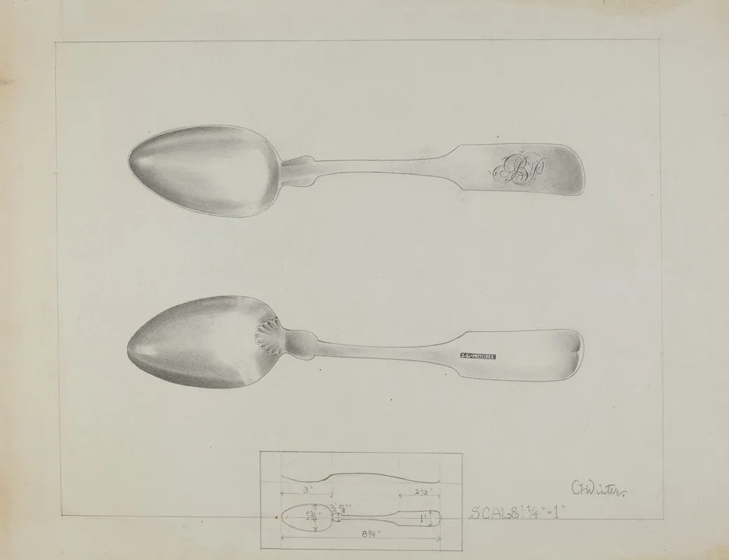 Silver Spoon 3 by Charlotte Winter - Canvas Print