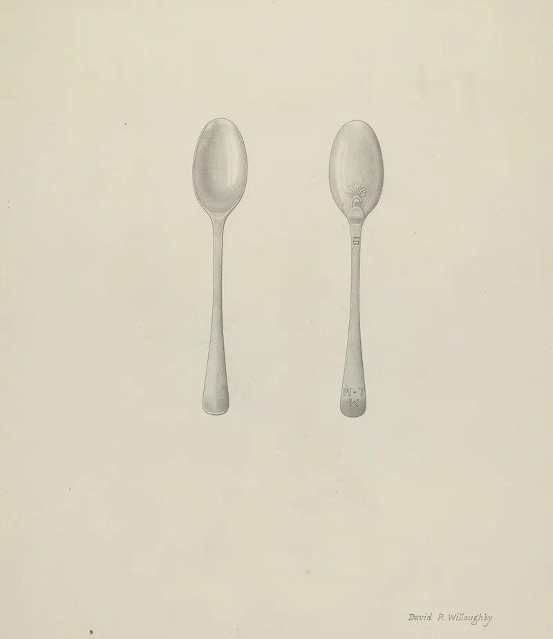 Silver Teaspoon by David P Willoughby - Canvas Print