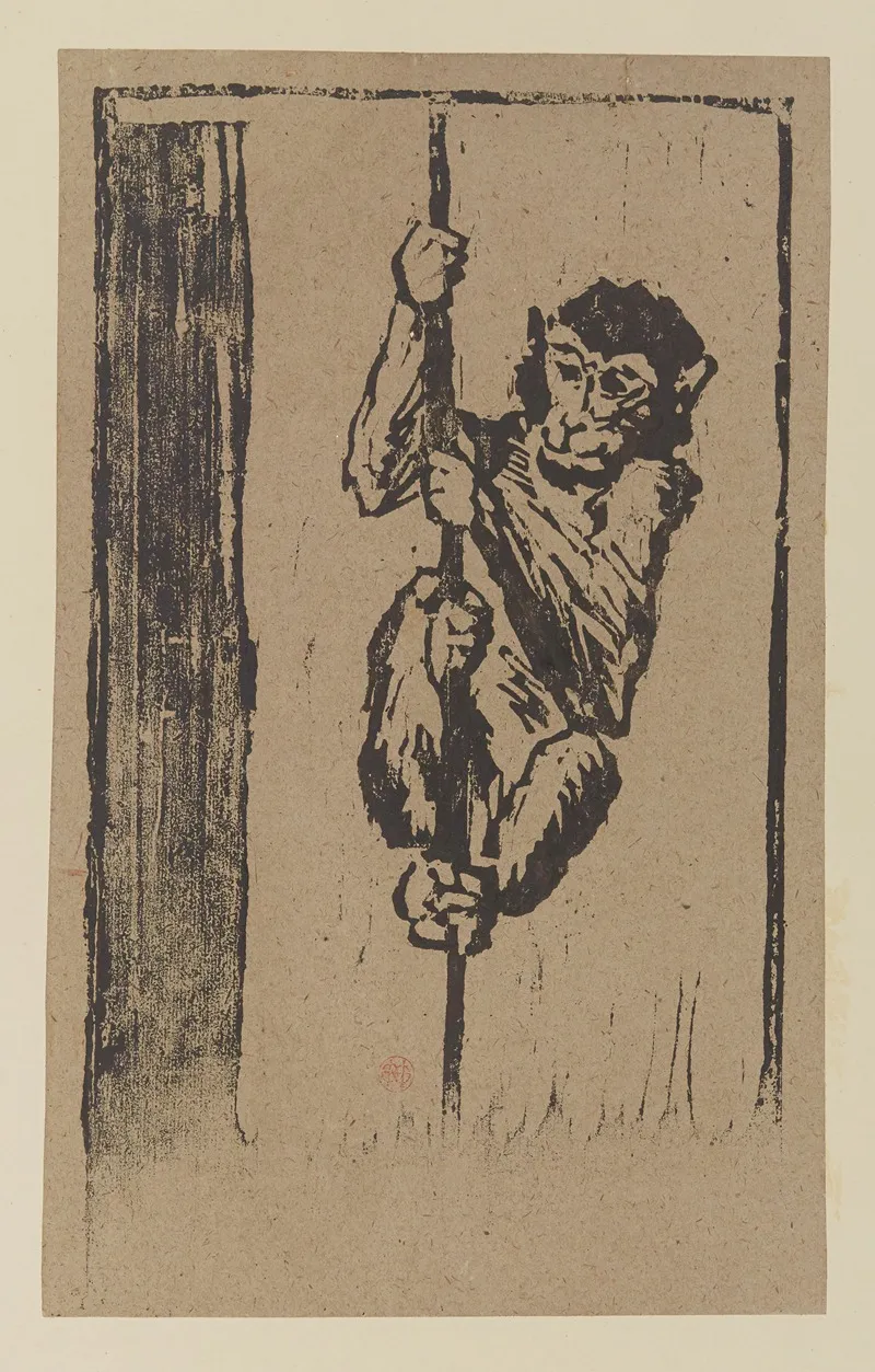 Singe Grimpant A La Corde