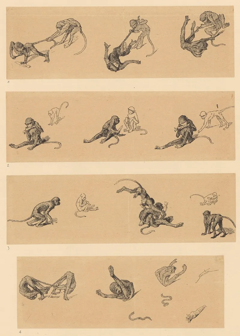 Singes