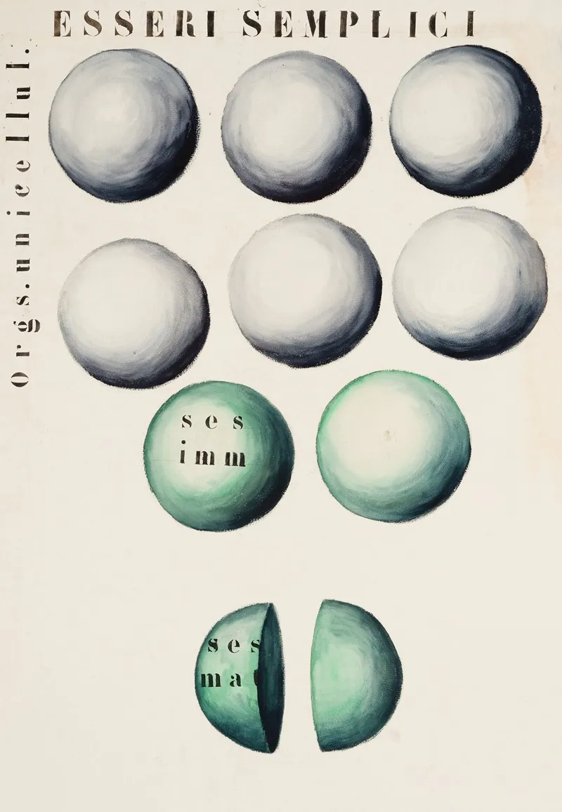 Single Celled Organisms