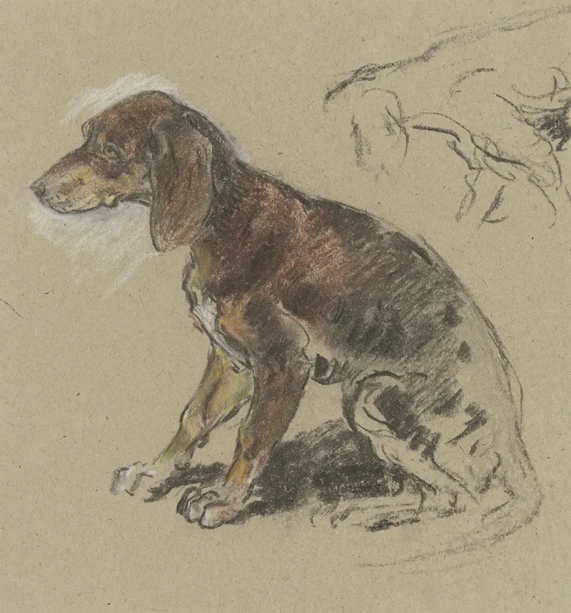 Sitzender Dackel Nach Links