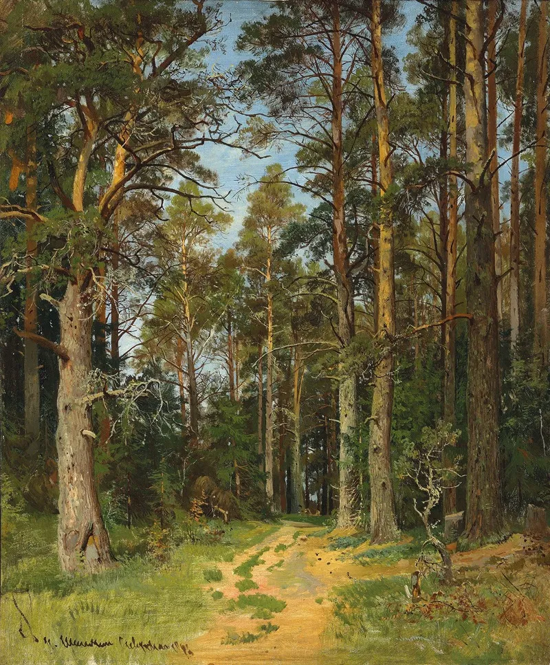 Siverskaya by Ivan Ivanovich Shishkin - Canvas Print
