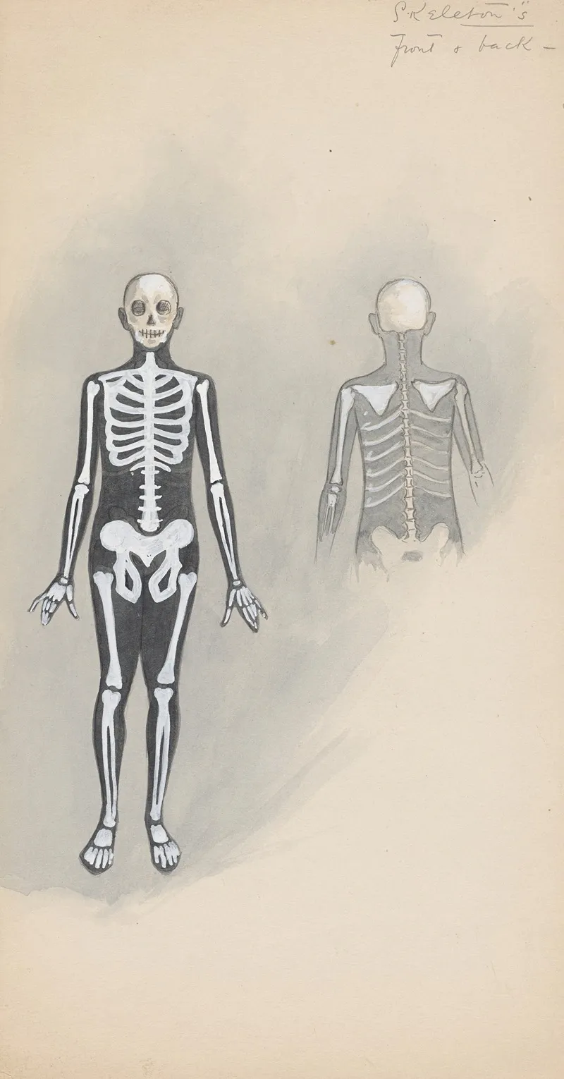 Skeletons Front Back