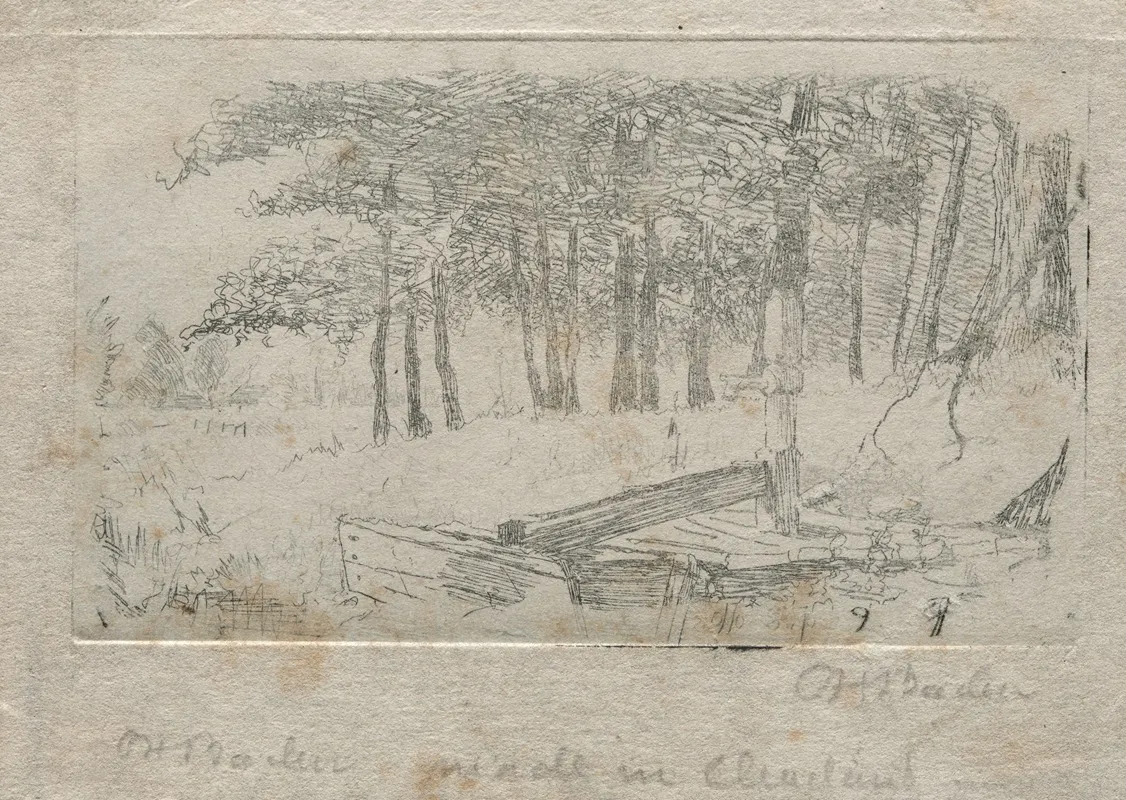 Sketch From Nature 2