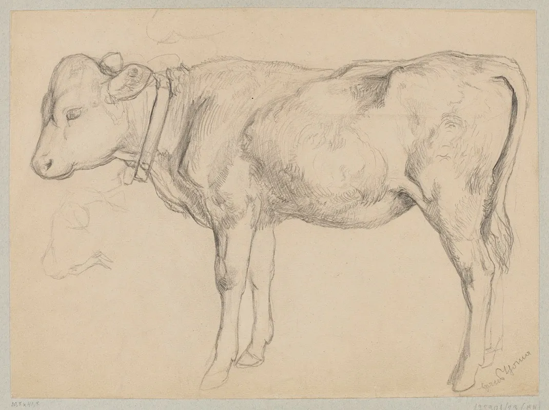 Sketch Of A Bull In Profile