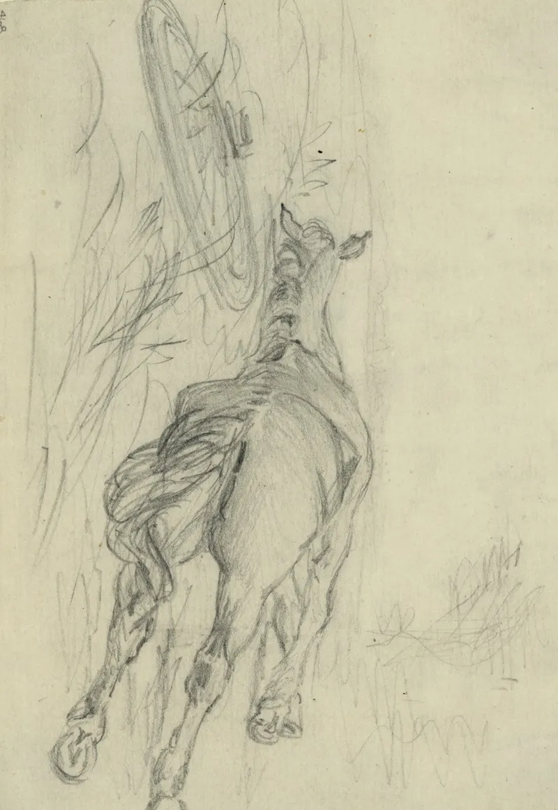 Sketch Of A Dead Horse