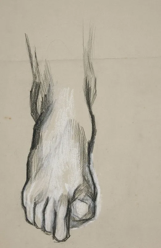 Sketch Of A Foot Ii