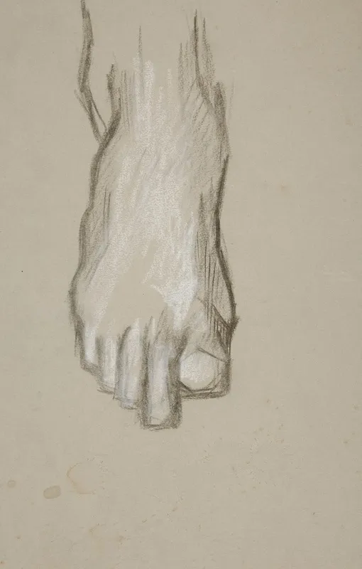 Sketch Of A Foot