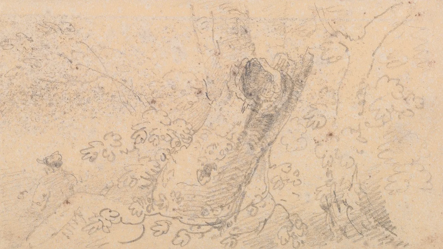 Sketch Of A Hollow Tree Trunk
