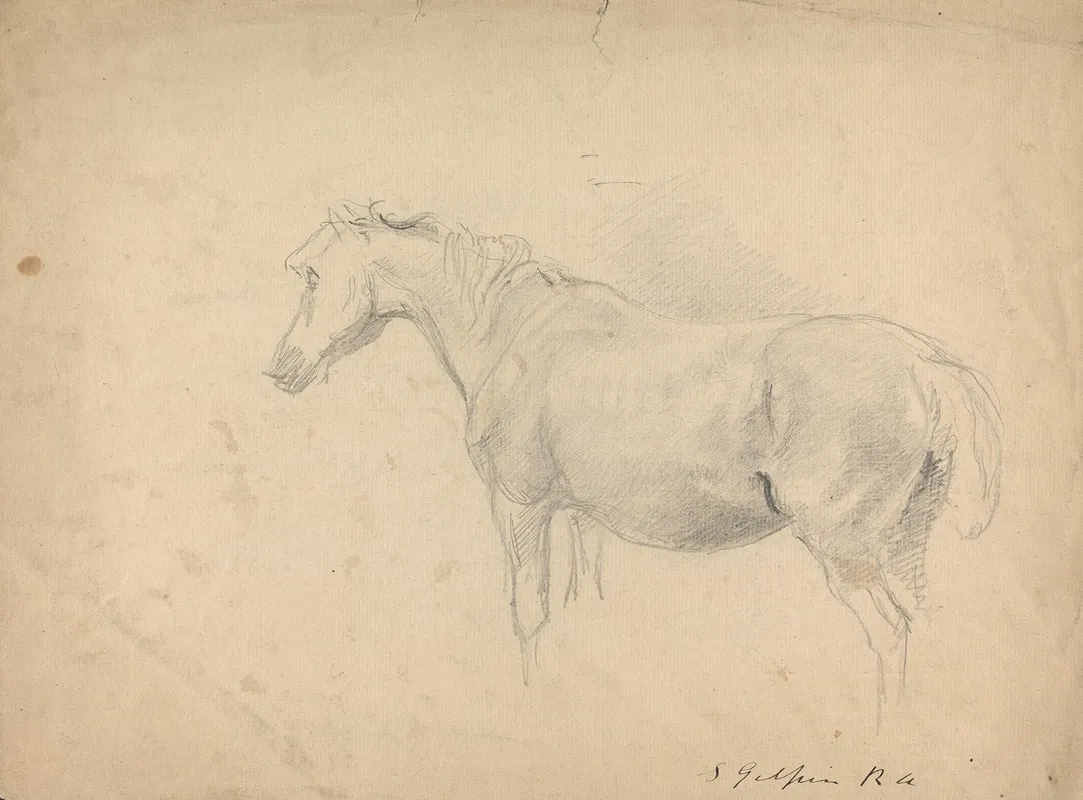 Sketch Of A Horse 4