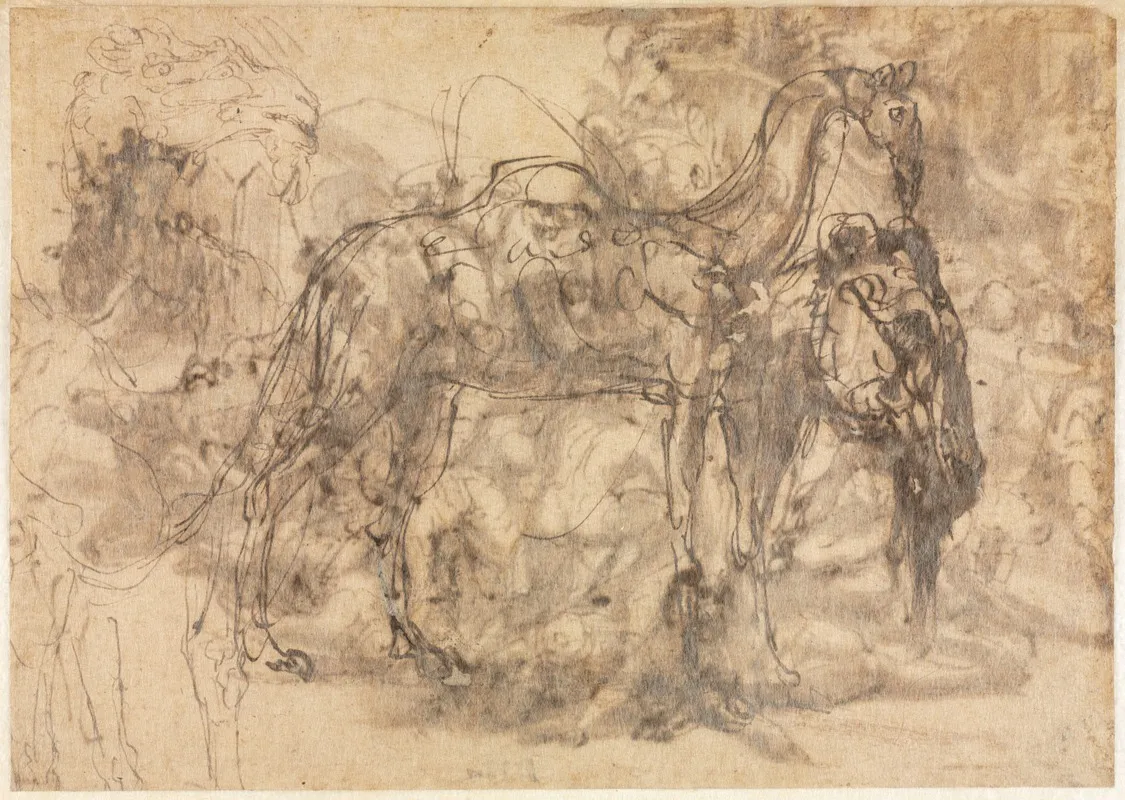 Sketches Of Animals