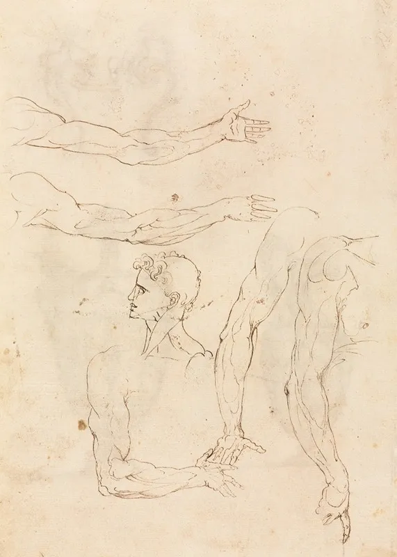 Sketches Of Five Arms And A Head Verso by Luzio Romano - Canvas Print