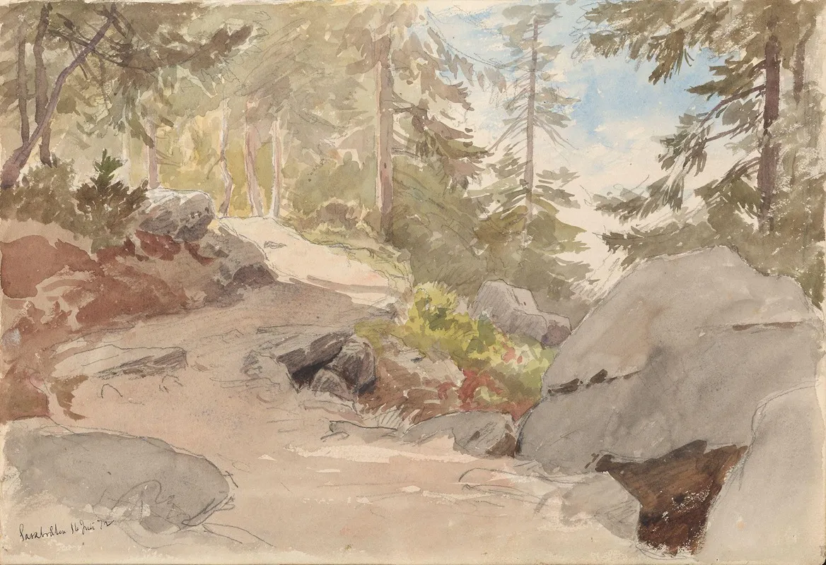 Skogsinterior Sarabraten