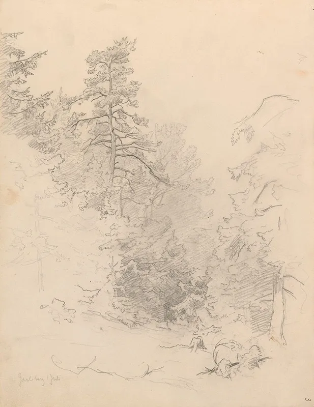 Skogsparti Jarlsberg by Hans Gude - Canvas Print