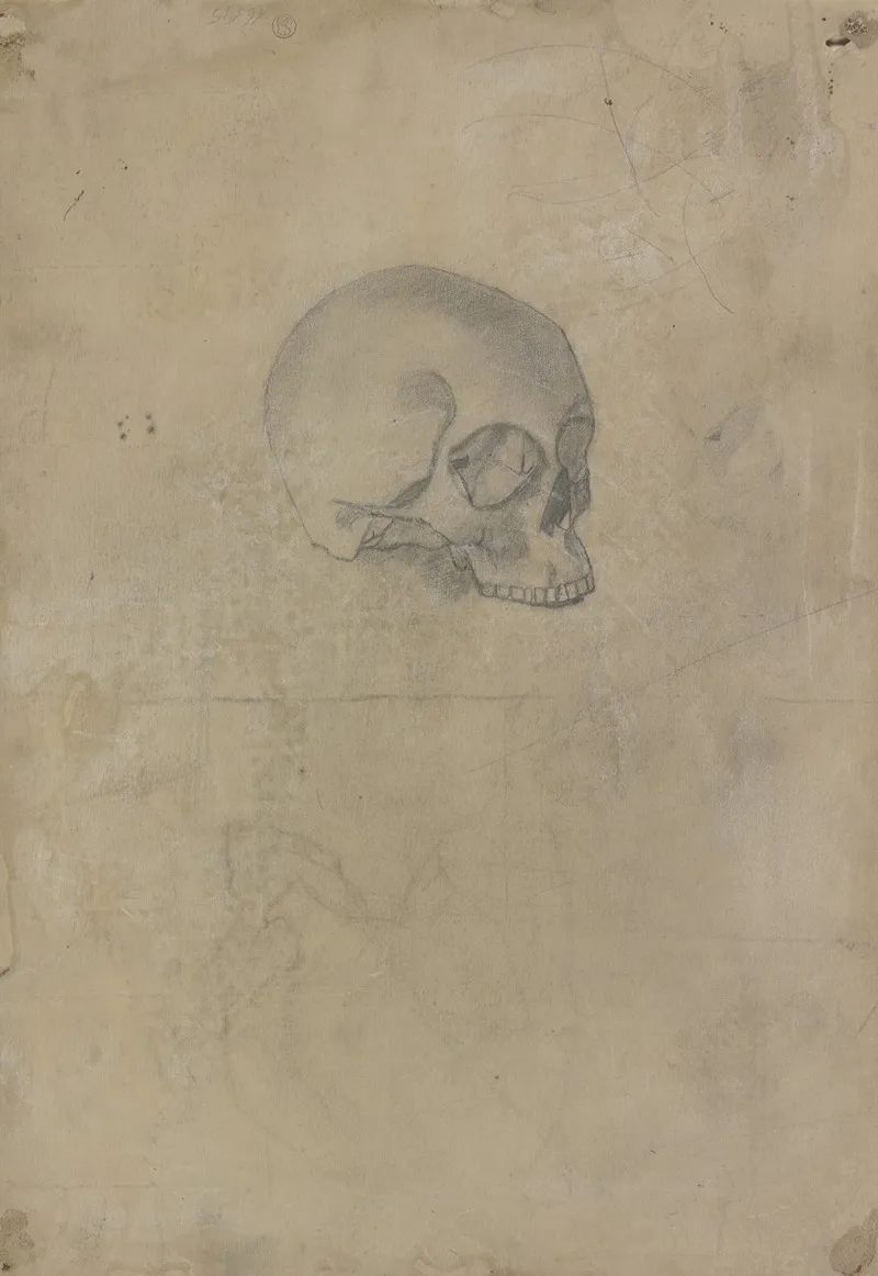 Skull 6