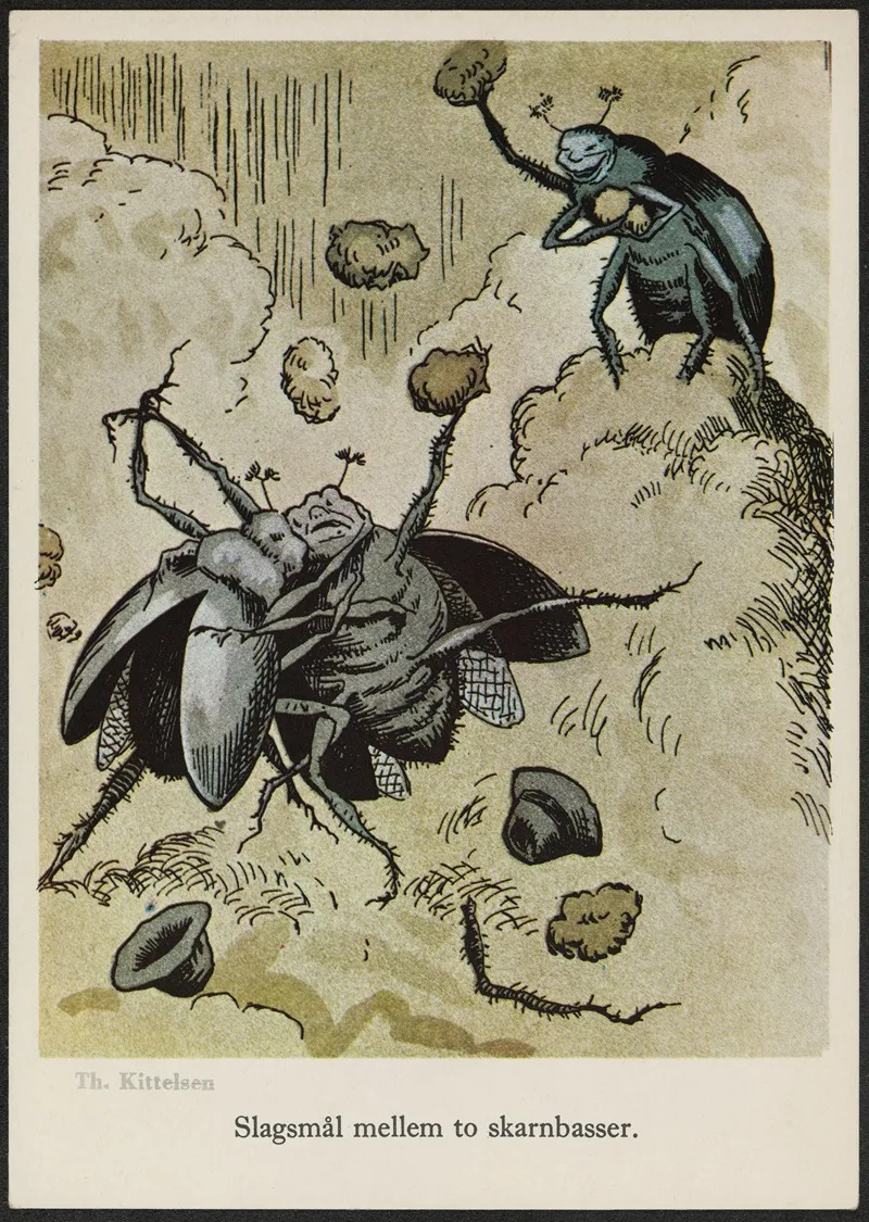 Slagsmal Mellem To Skarnbasser