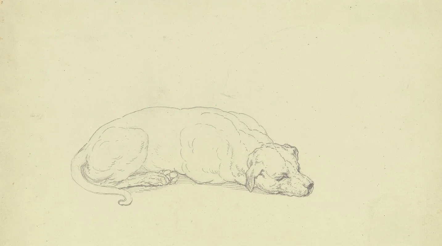 Sleeping Dog 2 by Ferdinand Fellner - Canvas Print