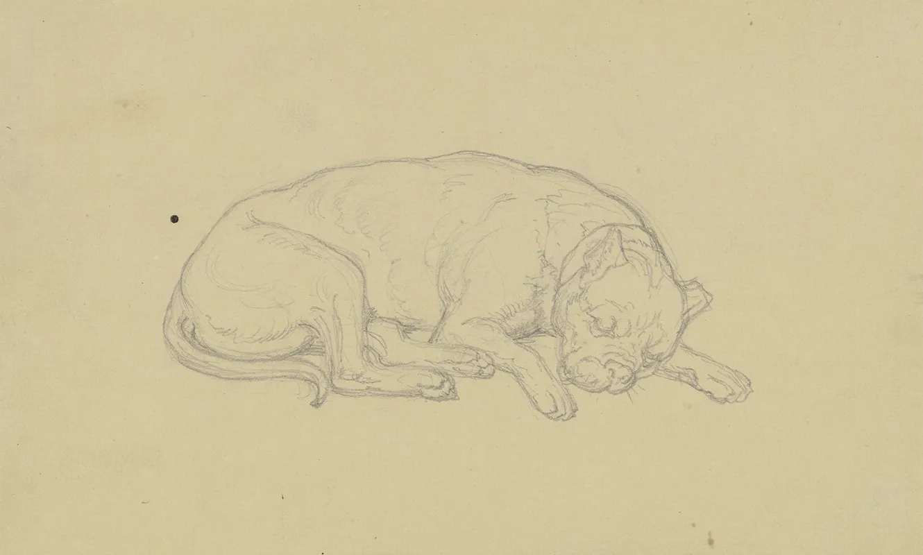 Sleeping Dog 3 by Ferdinand Fellner - Canvas Print