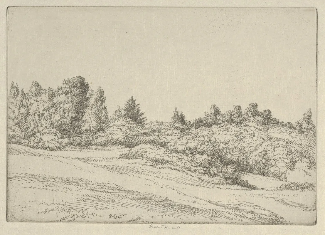 Small Point Field by Ernest Haskell - Canvas Print