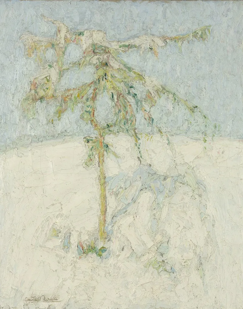 Sneeuwlandschap In De Ardennen