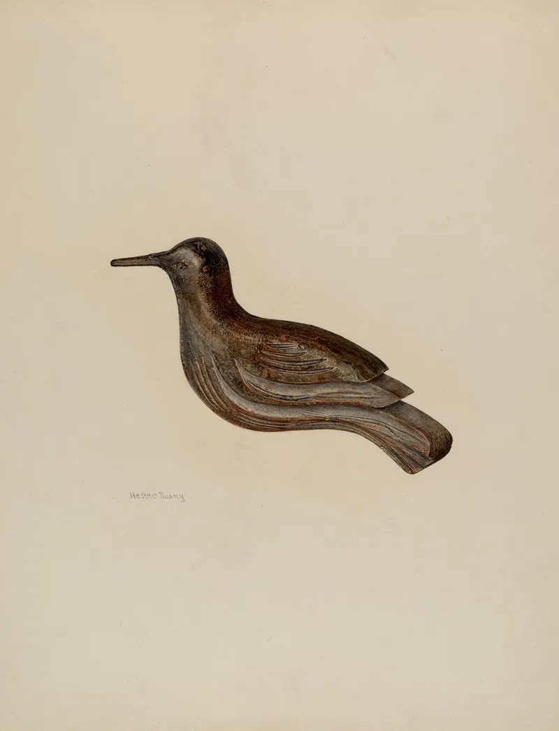 Snipe by Hester Duany - Canvas Print
