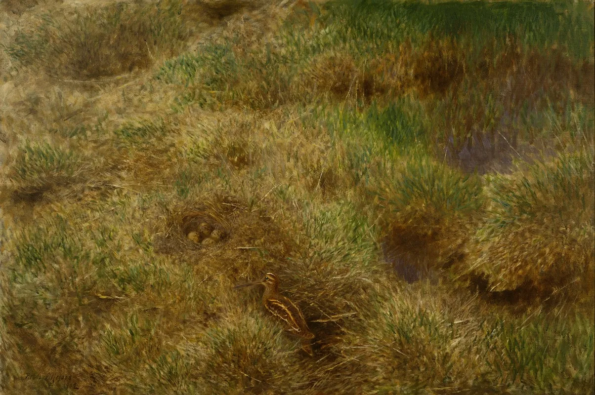 Snipes Nest by Bruno Liljefors - Canvas Print