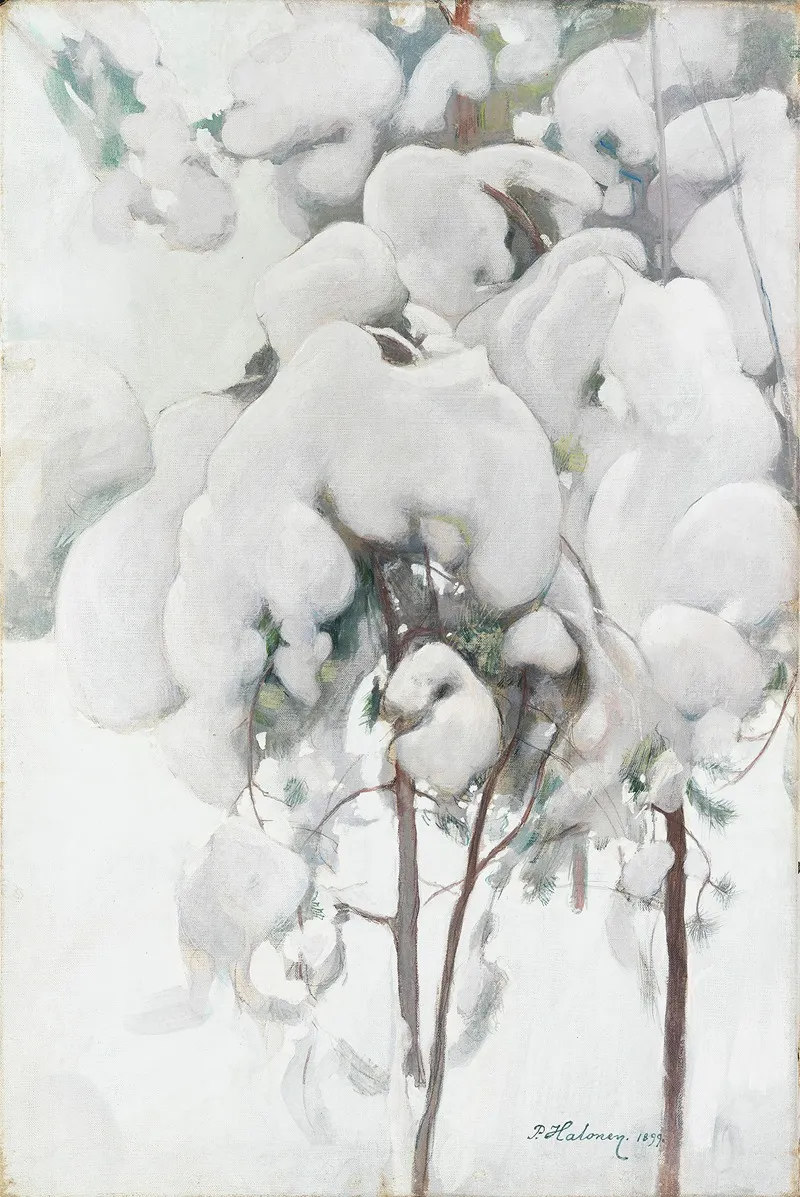 Snow Covered Pine Saplings by Pekka Halonen - Canvas Print