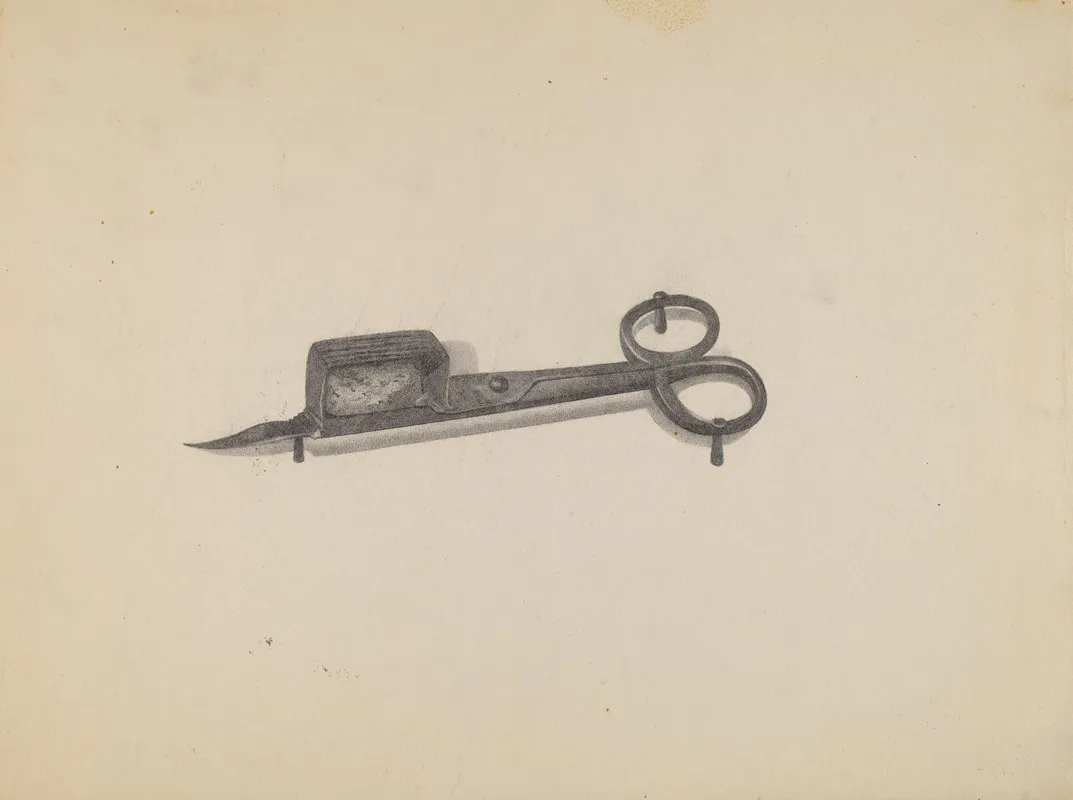 Snuffer by Anna Aloisi - Canvas Print