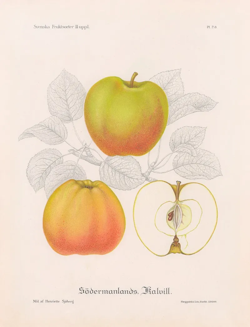 Sodermanlands Kalvill