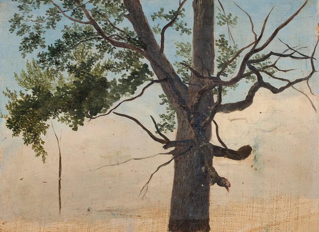 Solitary Tree by Chrystian Breslauer - Canvas Print