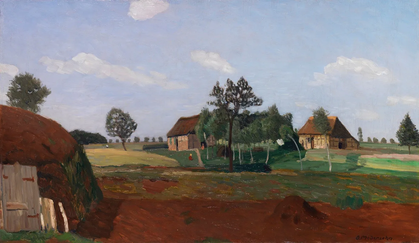 Sommertag Im Moor Erdhutte Im Moor