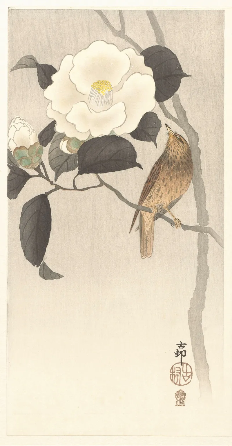 Songbird And Flowering Camellia by Ohara Koson - Canvas Print