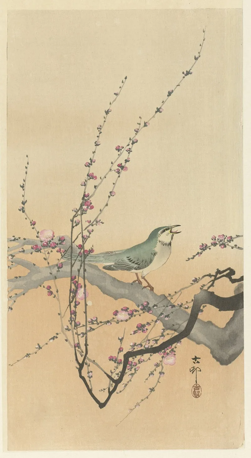 Songbird And Plum Blossom
