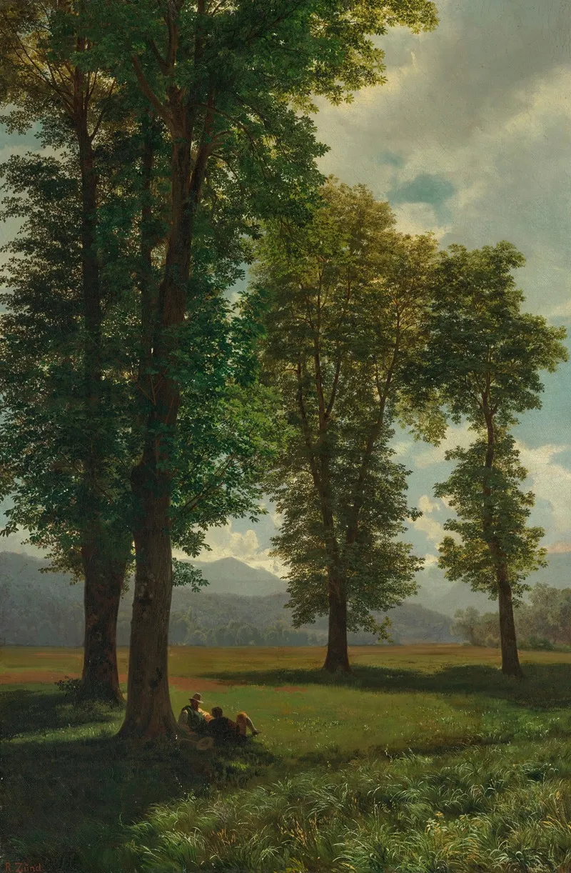 Sonnige Au Sunny Meadow