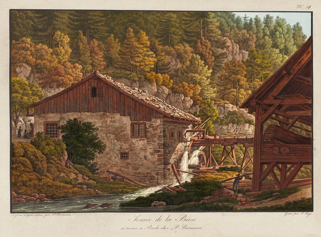 Source De La Birse by Peter Birmann - Canvas Print