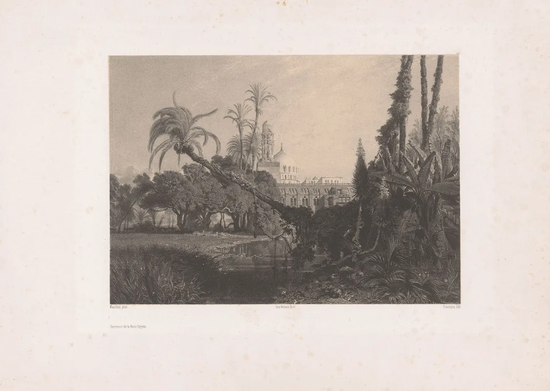 Souvenir De La Basse Egypte