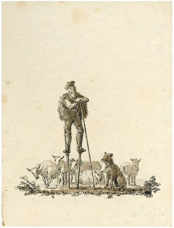 Spaanse Herder Met Schapen